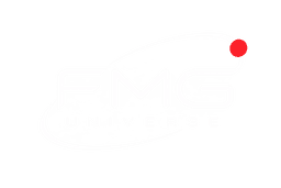 FMG Universe Logo